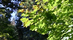 Užime si posledné dni s príjemnými teplotami. Už onedlho príde citeľná zmena