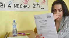 Zoznam všetkých slohových tém za posledných 13 rokov. Ktorý ročník to mal najľahšie?