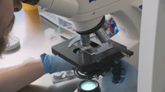 Vedci jasajú. Prelomový experiment dáva nádej tisícom párov
