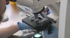 Vedci jasajú. Prelomový experiment dáva nádej tisícom párov
