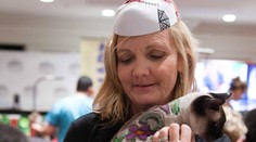 Niektorí ľudia sú blázniví! Pozrite sa, čo robia svojim domácim miláčikom