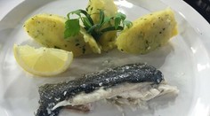 Špaldový chlieb so semienkami