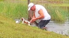 VIDEO: Muž neváhal a vrhol sa do vody za aligátorom. Vytrhol mu z papule svojho psa