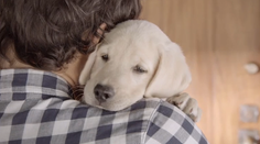 Krásna reklama vám ukáže, prečo nesadať za volant opitý