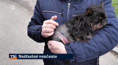 Nešťastné venčenie