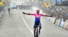 Talian Bettiol víťazom Okolo Flámska, P. Sagan na 11. mieste