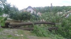 Koniec legendy! V Hornej Ždani víchrica vyvrátila 100-ročnú lipu