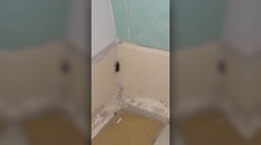 Pacient na urgente v Bratislave nakrútil šváby priamo v čakárni. Reakcia zdravotníka ho šokovala