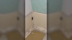 Pacient na urgente v Bratislave nakrútil šváby priamo v čakárni. Reakcia zdravotníka ho šokovala