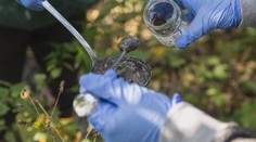 Greenpeace skúmalo viacero vôd na Hornej Nitre, výsledky šokovali