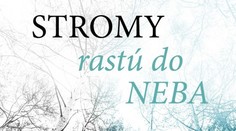 Stromy rastú do neba