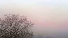 Namiesto zimy máme jesenné počasie. Ani zajtra to nebude inak