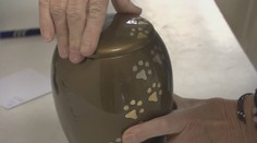 Slováci si obľúbili šperky s popolom ich domáceho miláčika. Ukážeme vám, ako to vyzerá v zvieracom krematóriu