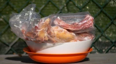 Hygienici varujú pred chybou, ktorú robíme pri rozmrazovaní potravín. V lete môže byť nebezpečná