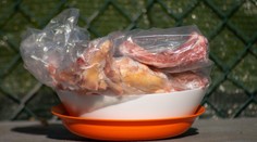 Hygienici varujú pred chybou, ktorú robíme pri rozmrazovaní potravín. V lete môže byť nebezpečná