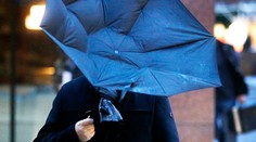 Meteorológovia varujú pred vetrom: V týchto okresoch platia výstrahy