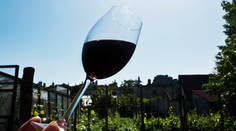 Povesť červeného vína je otrasená, zdraviu vraj príliš nepomáha