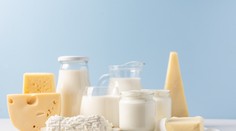 Máte s pribúdajúcim vekom problémy s trávením mliečnych výrobkov? Odborníci radia, čo s tým