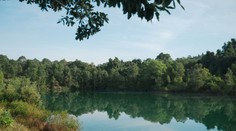 Vedci odhalili najnebezpečnejšie zviera sveta. Väčšina ľudí tipuje úplne zle