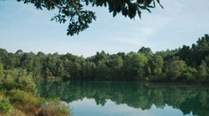 Vedci odhalili najnebezpečnejšie zviera sveta. Väčšina ľudí tipuje úplne zle