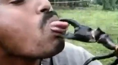 Prečo by ste nikdy nemali bozkávať kraba? Dopadnete takto