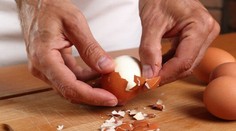 Hubové ragú so sezamom na grilovanej zelenej špargli, podávané s volským okom