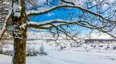Meteorológovia varujú pred nezvyčajnou zimou. V hre je silný klimatický jav