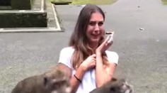 Turistka chcela iba fotku s opicami. Tie na ňu vyliezli a začali sa páriť