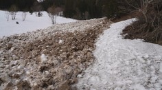 VIDEO: Unikátne zábery na obrovskú lavínu, ktorá spadla pri chate Plesnivec