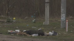 Reportáž z Buče: Zdevastované domy, zničené cesty aj vojenská technika. Na ulici stále ležia telá mŕtvych civilistov