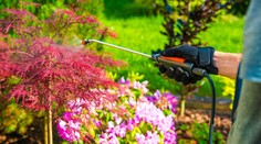 Ako sa vyzbrojiť proti burine?