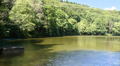 Veľká pocta. Pozrite, v akom rebríčku sa ocitol bratislavský lesopark