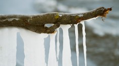 Nateraz máme za sebou poslednú mrazivú noc. Otepľuje sa, no na týchto miestach poriadne nasneží
