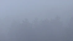 Slovensko v zajatí pochmúrnych dní. Následky sa už ukazujú aj v ambulanciách