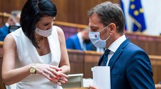 Jana Bittó Cigániková našla kľučku, ako zastaviť interrupčné zákony. Konzervatívci sú nespokojní