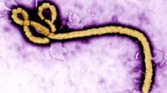 Svet straší zákerná Ebola. Je v ohrození aj Slovensko?