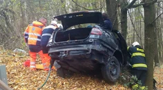 Pri Starej Turej vletelo auto do stromu, dvaja ťažko zranení