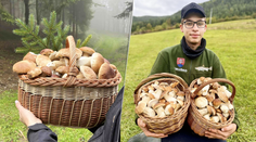 OBRAZOM: Slováci sa z lesov vracajú s plnými košíkmi. Víkend na parádu, tešia sa. Odborník má pre hubárov dobré správy