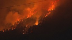 Bulharsko bojuje s ničivými požiarmi na viacerých častiach. Živle sa stále nedarí dostať pod kontrolu