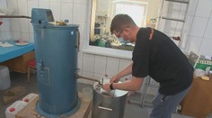 Pálenice po minulom roku zažívajú nápor. Dokonca skúšajú vypáliť pálenku aj z tejto plodiny