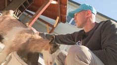 Takto Tomi Kid Kovácsa nepoznáte. Ring vymenil za zvieratá a zbieranie vajíčok