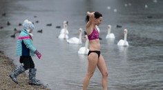 FOTOGALÉRIA: Slovenské ľadové medvede si zaplávali vo Veľkom Draždiaku