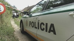 Muž (65) zlynčoval suseda (†35): Už vieme, čo predchádzalo brutálnej vražde na Myjave