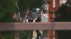 Nešťastie v areáli škôlky: Robotník zomrel po páde z rebríka