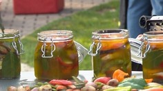 Šošovicová nátierka