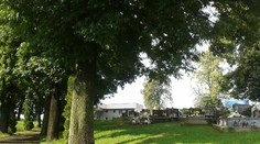 Mali veľké šťastie! Ľudí, ktorých v utorok zasiahol blesk, prepustili z nemocnice