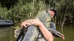 FOTO: Kapitálny úlovok známeho rybára: Z rieky vytiahol monštruózneho sumca s rekordnou dĺžkou