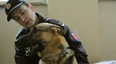 Na strednej škole v Humennom hľadal pes drogy. Označil mladú študentku