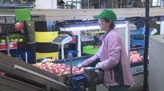 Minimálna mzda má od budúceho roka vzrásť na 520 eur