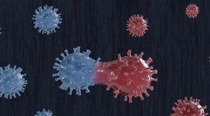 Britský variant koronavírusu opäť zmutoval. Vedci hovoria o znepokojujúcich zmenách